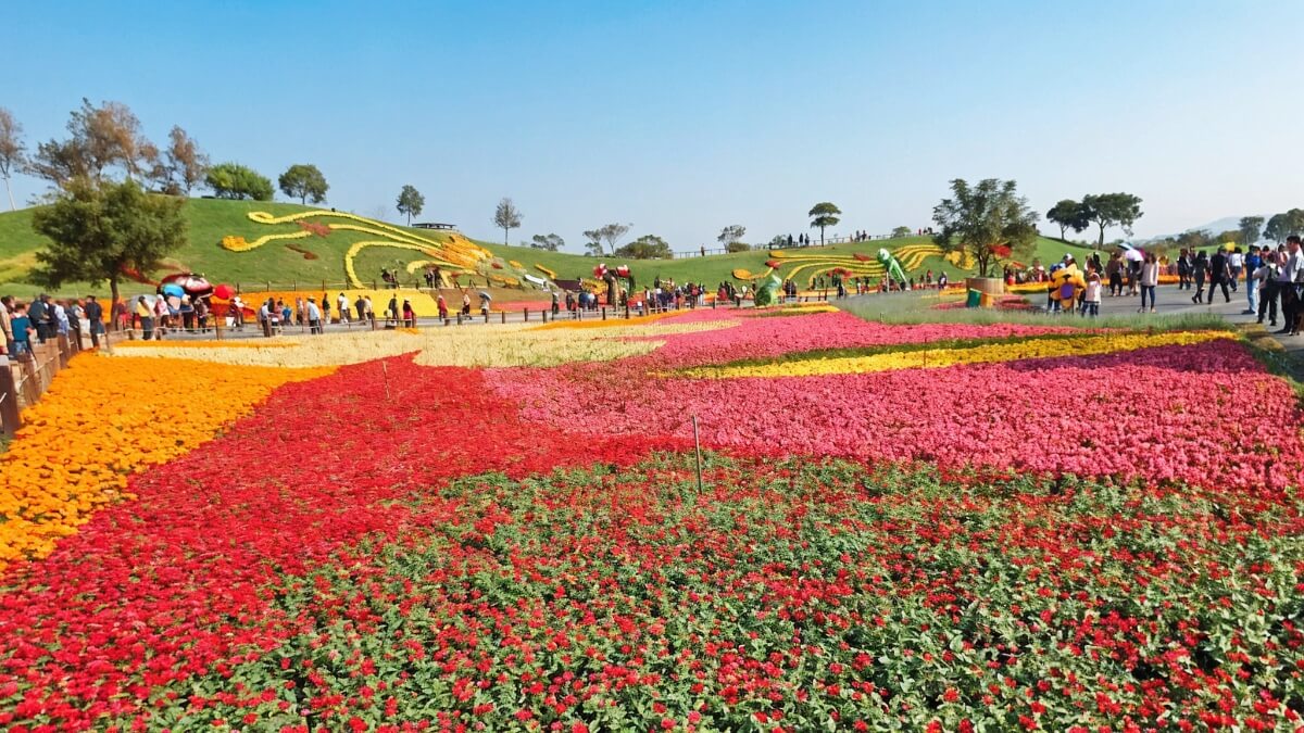 花田拼布公園(國際花毯節)
